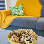 Apartment Stylish & Authentic 1br With Terrace In By 360 Estates *